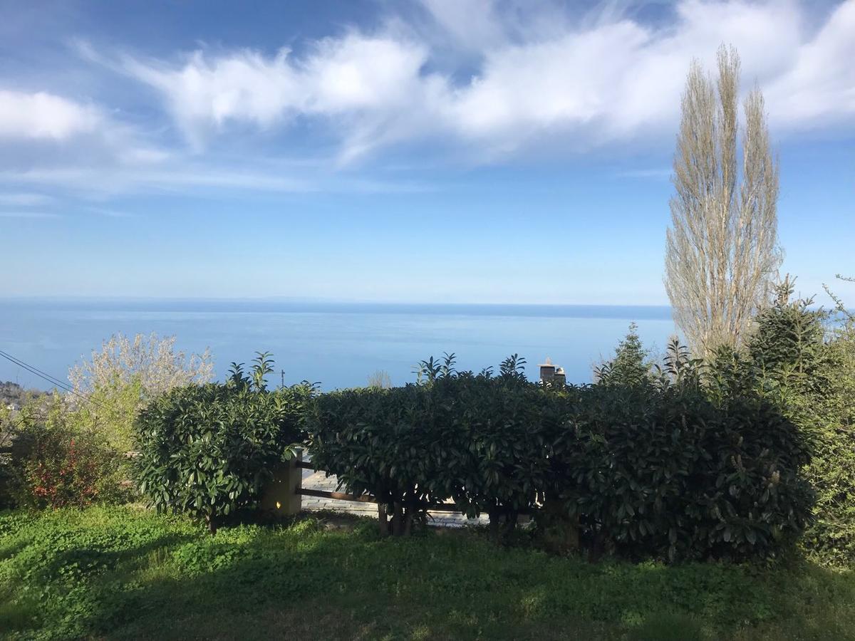 Ellis Full Guest House Tsagarada Exterior foto